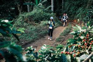 BIB: 
                            <button type="button" onclick="openModal(25855177)" class="btn btn-primary btn-sm float-right btn-popup" data-toggle="modal" data-target=".modal-high-quality">
                        <i class="fas fa-shopping-cart"></i> Add to Cart
                    </button>
                                            <button type="button" onclick="isThisMe(25855177, true)" class="btn btn-success btn-sm float-right btn-popup btn-isme hidden" data-toggle="tooltip" data-placement="bottom" title="นี่คือรูปของคุณใช่ไหม คลิกที่นี่เพื่อเอาเข้าอัลบั้ม">
                        <i class="fas fa-plus"></i> Add to album
                    </button>
                    <button type="button" onclick="isThisMe(25855177, false)" class="btn btn-warning btn-sm float-right btn-popup btn-isnotme hidden">
                        <i class="fas fa-ban"></i> Remove from album
                    </button>